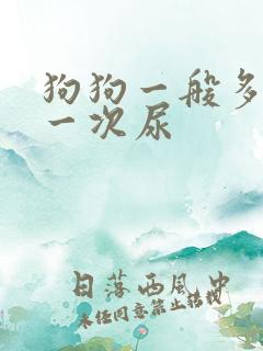 狗狗一般多久尿一次尿