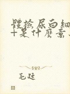 体检尿白细胞2+是什么意思