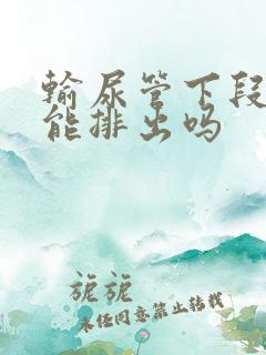 输尿管下段结石能排出吗