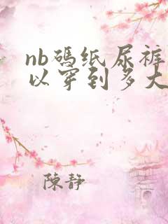 nb码纸尿裤可以穿到多大