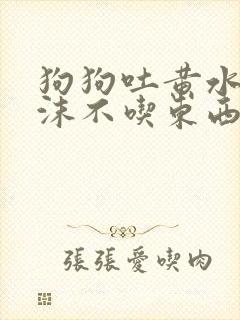 狗狗吐黄水带泡沫不吃东西