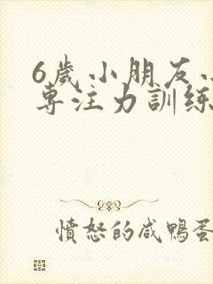 6岁小朋友小孩专注力训练