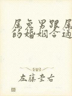 属兔男跟属龙女的婚姻合适吗