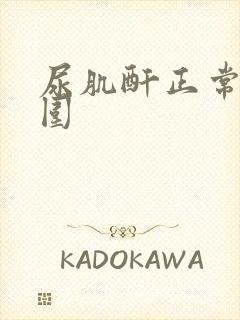 尿肌酐正常值范围