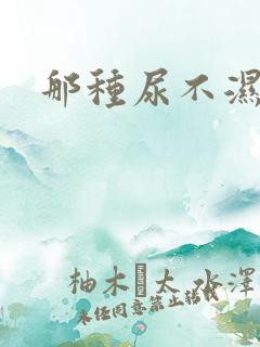 那种尿不湿好用