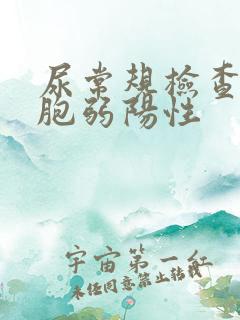 尿常规检查白细胞弱阳性