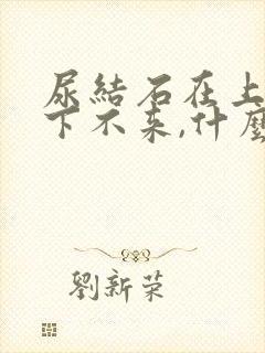 尿结石在上端,下不来,什么原因