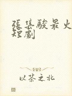 张集骏最火十部短剧