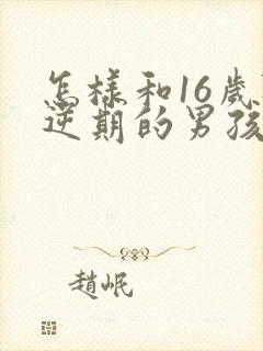 怎样和16岁叛逆期的男孩沟通