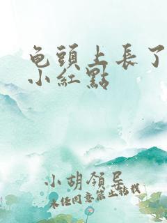 龟头上长了红点小红点