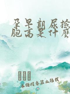 孕早期尿检白细胞高是什么原因