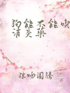 狗能不能吃头孢消炎药