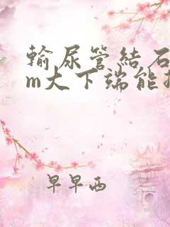 输尿管结石6mm大下端能排出来吗