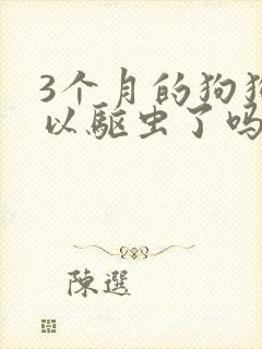 3个月的狗狗可以驱虫了吗?