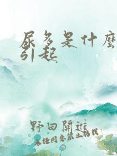 尿多是什么原因引起