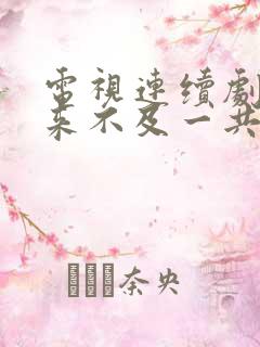 电视连续剧我怕来不及一共多少集