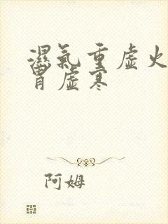 湿气重虚火旺脾胃虚寒