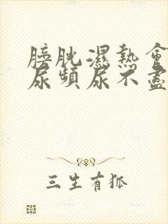 膀胱湿热会引起尿频尿不尽吗