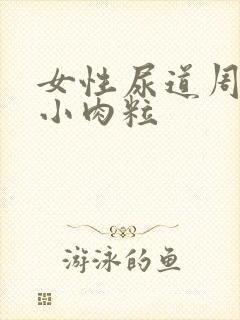 女性尿道周围有小肉粒