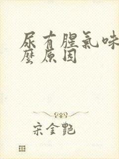 尿有腥气味是什么原因