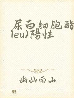 尿白细胞酯酶(leu)阳性