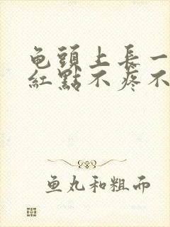 龟头上长一个小红点不疼不痒