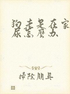 狗老是在家里乱尿怎么办