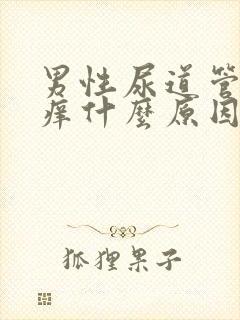 男性尿道管有点痒什么原因