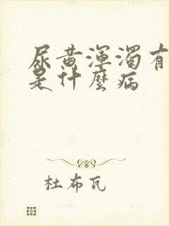 尿黄浑浊有异味是什么病