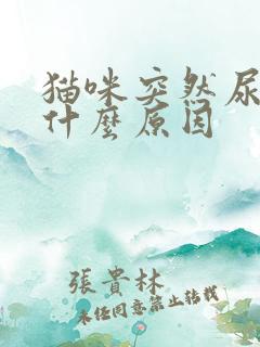 猫咪突然尿闭是什么原因