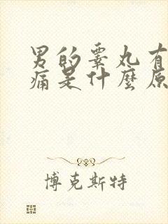 男的睾丸有点胀痛是什么原因