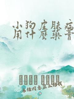 小狗皮肤病掉毛用什么药膏