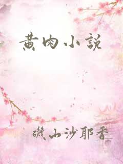 黄肉小说