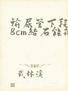 输尿管下段0.8cm结石能排出吗