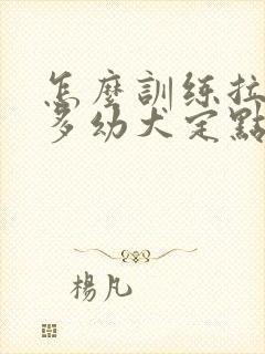 怎么训练拉布拉多幼犬定点大小便