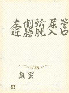 左侧输尿管下段近膀胱入口处结石