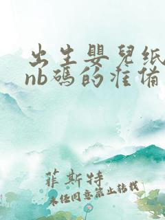 出生婴儿纸尿裤nb码的准备几包