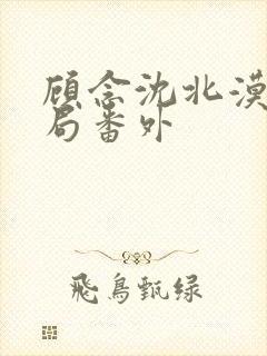 顾念沈北漠大结局番外