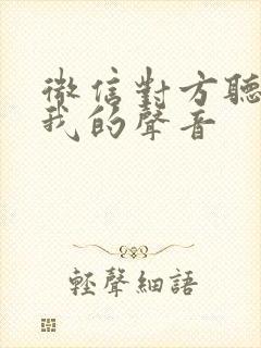 微信对方听不见我的声音