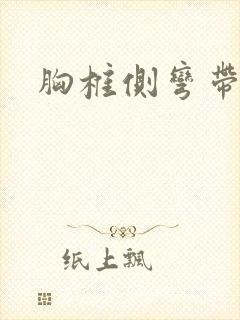 胸椎侧弯带支具