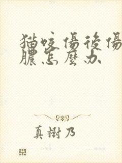 猫咬伤后伤口化脓怎么办