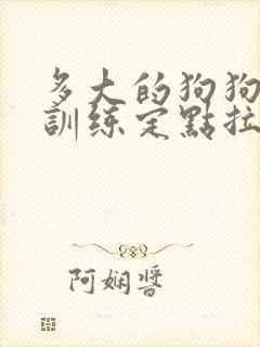 多大的狗狗可以训练定点拉屎撒尿