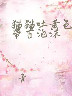 猫猫吐黄色的水带有泡沫