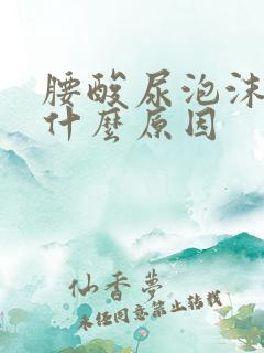 腰酸尿泡沫多是什么原因