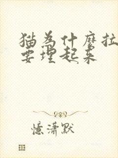 猫为什么拉完屎要埋起来