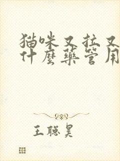 猫咪又拉又吐吃什么药管用