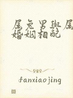 属兔男与属龙女婚姻相配