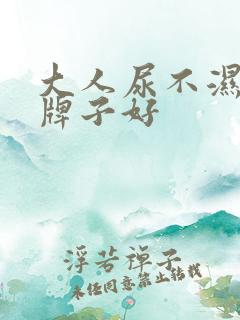 大人尿不湿什么牌子好