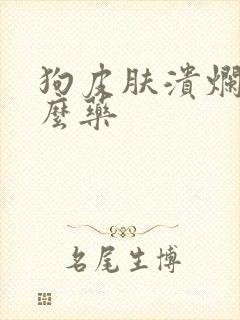 狗皮肤溃烂用什么药