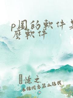 p图的软件是什么软件